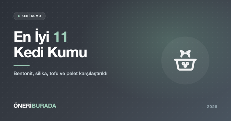 En İyi 11 Kedi Kumu