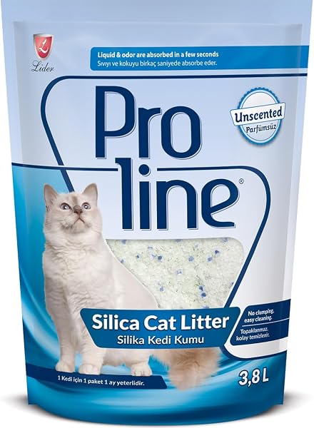 Proline Kokusuz Silika 3,8 L