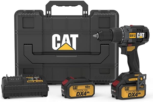 CAT DX12.2