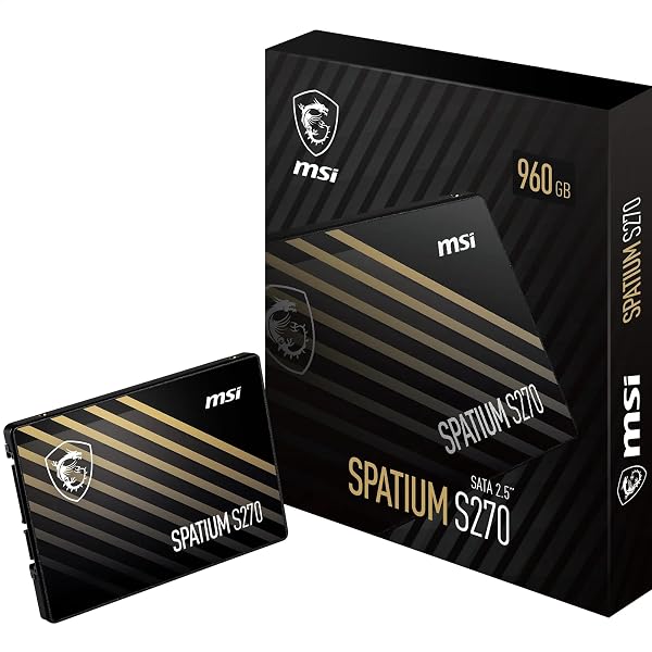 MSI SPATIUM S270 960GB